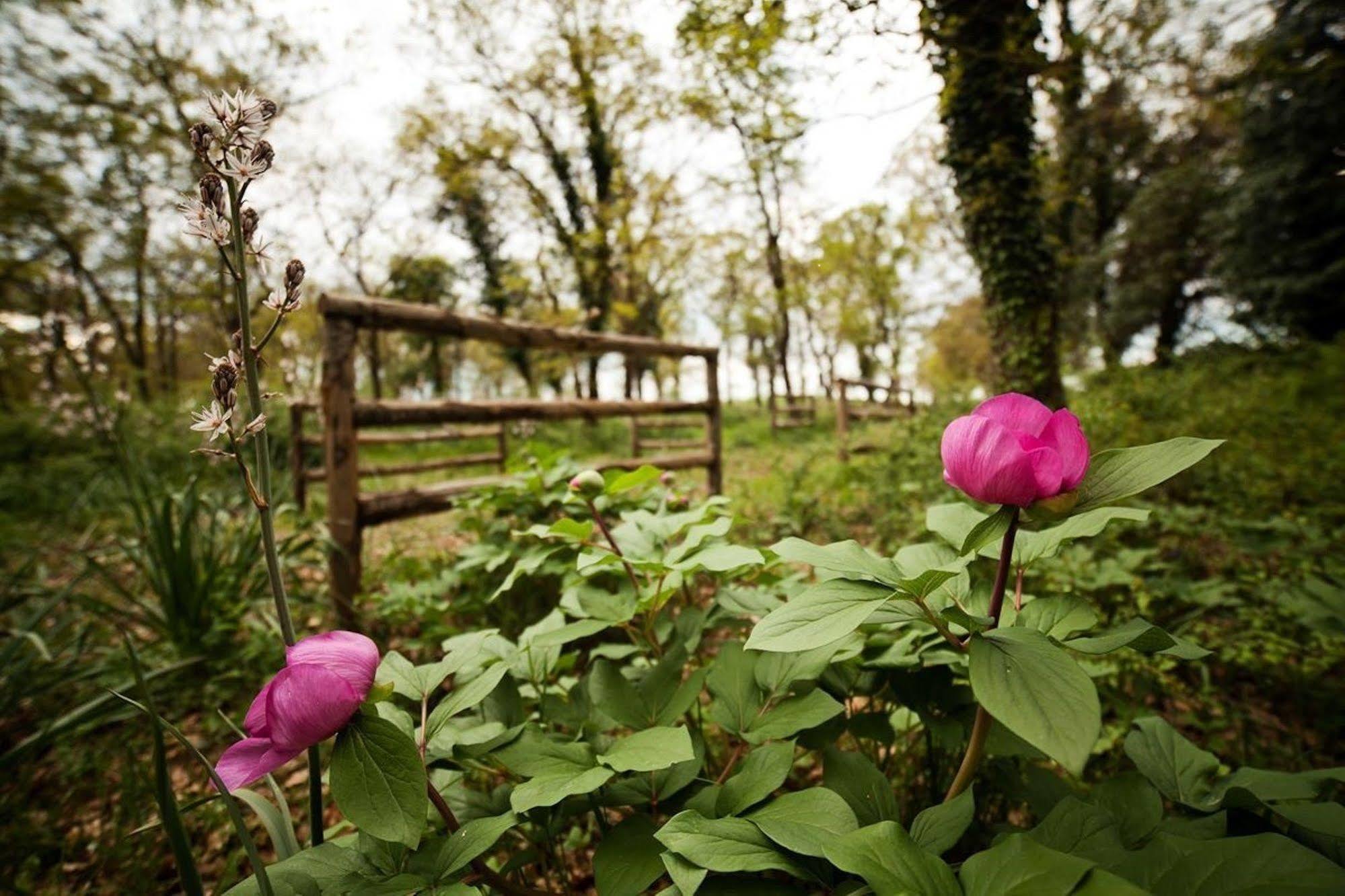 Tenute D'Onghia Gioia Del Colle Extérieur photo